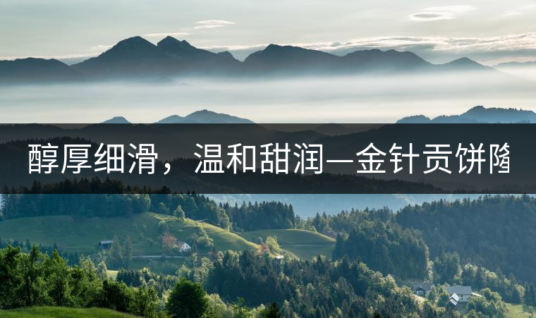 醇厚細(xì)滑，溫和甜潤(rùn)—金針貢餅隆重上市！