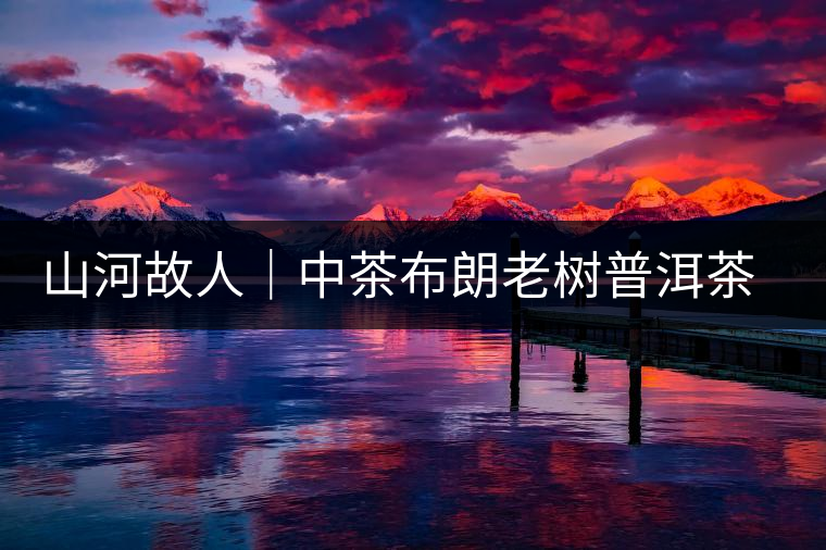 山河故人｜中茶布朗老樹普洱茶（生茶）