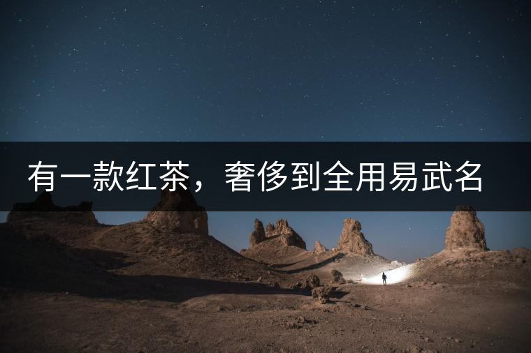 有一款紅茶，奢侈到全用易武名寨古樹茶發(fā)酵！