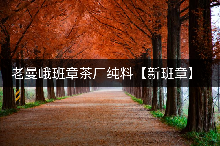 老曼峨班章茶廠純料【新班章】新品上市