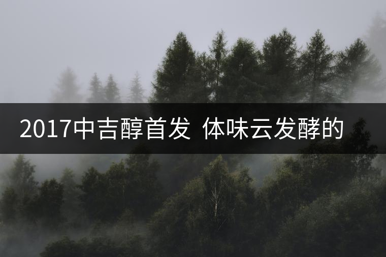 2017中吉醇首發(fā)  體味云發(fā)酵的香醇