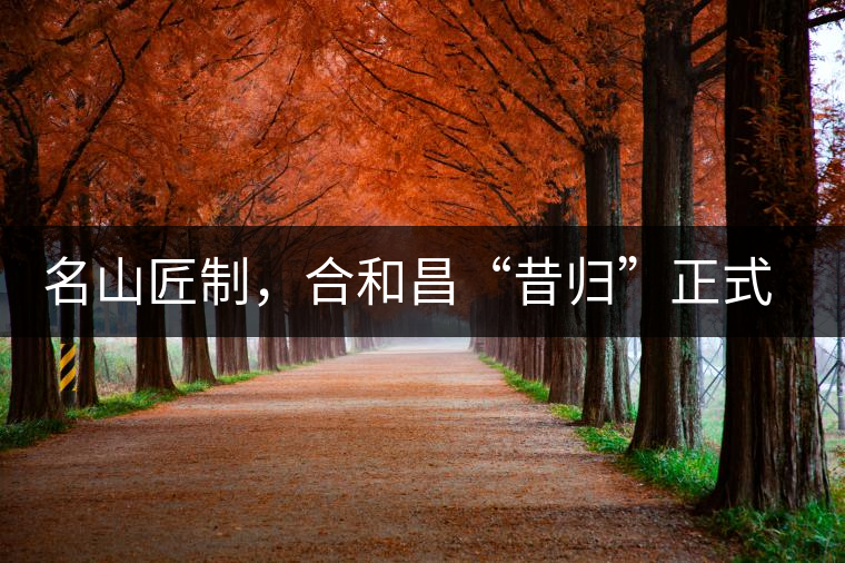 名山匠制，合和昌“昔歸”正式上市