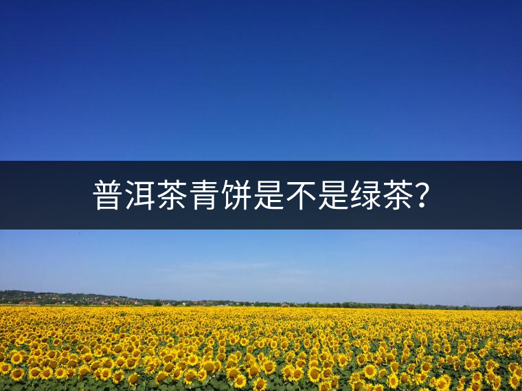 普洱茶青餅是不是綠茶？