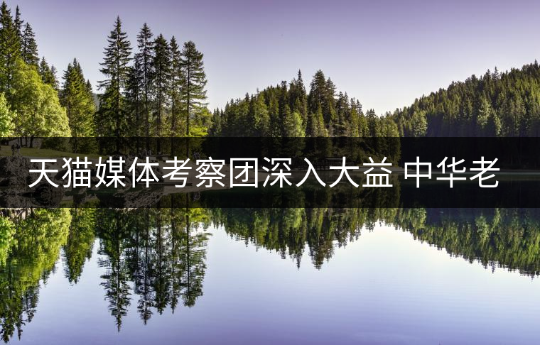 天貓媒體考察團(tuán)深入大益 中華老字號也是時尚文化