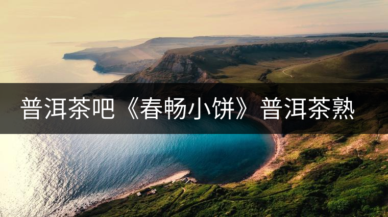 普洱茶吧《春暢小餅》普洱茶熟茶