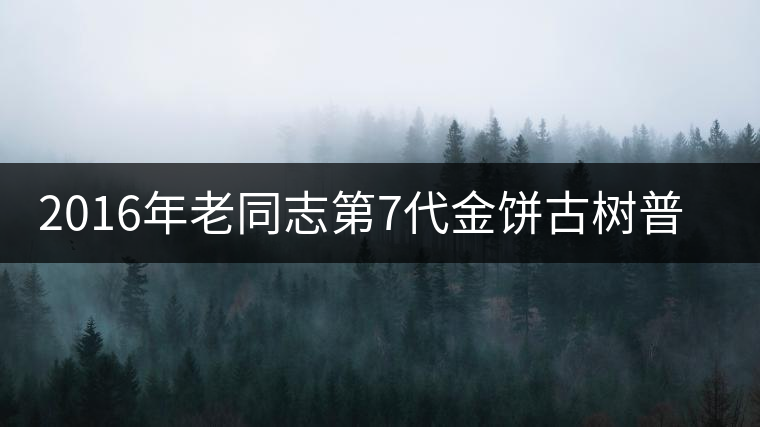 2016年老同志第7代金餅古樹(shù)普洱熟茶今天上市！
