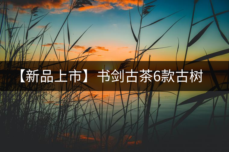 【新品上市】書(shū)劍古茶6款古樹(shù)早春茶重磅來(lái)襲！