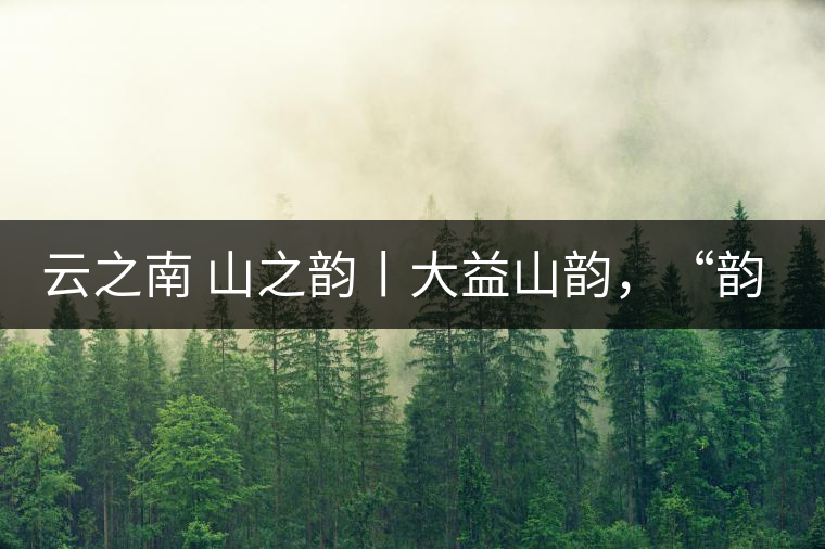 云之南 山之韻丨大益山韻，“韻”味傳奇之山韻歸來