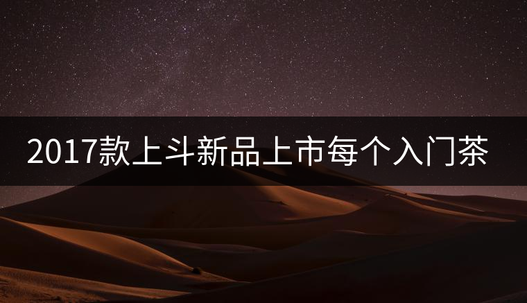 2017款上斗新品上市每個入門茶人都欠自己一餅上斗！