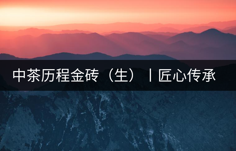 中茶歷程金磚（生）丨匠心傳承，精品迭出