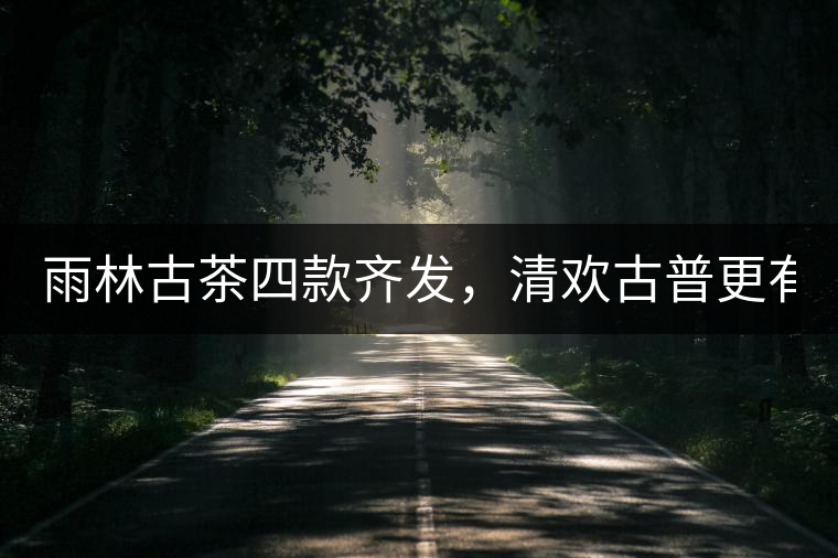雨林古茶四款齊發(fā)，清歡古普更有味！