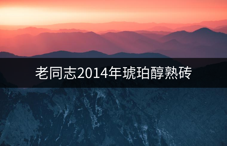 老同志2014年琥珀醇熟磚