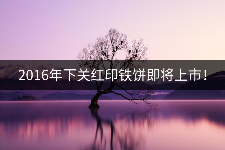 2016年下關(guān)紅印鐵餅即將上市！