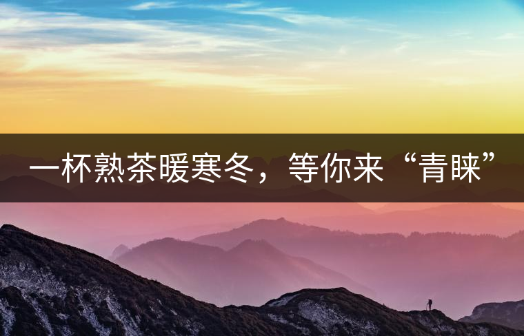 一杯熟茶暖寒冬，等你來(lái)“青睞”
