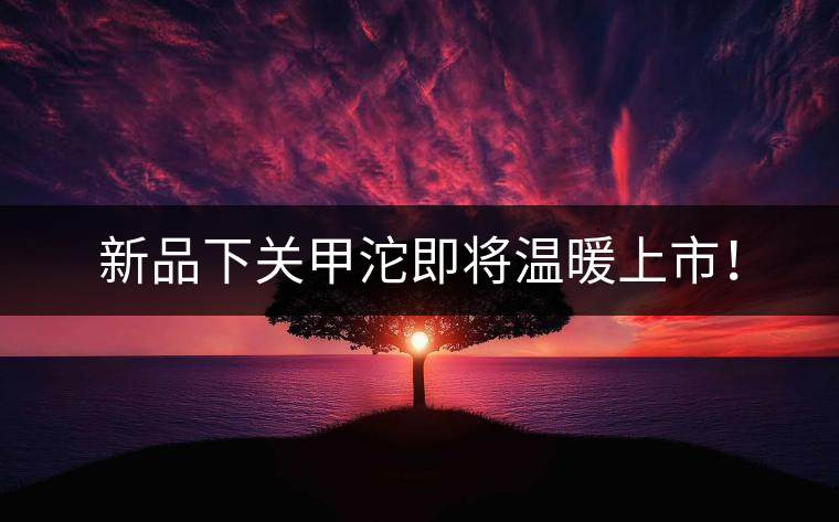 新品下關(guān)甲沱即將溫暖上市！