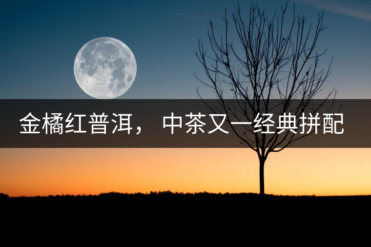 金橘紅普洱， 中茶又一經(jīng)典拼配力作，值得期待！