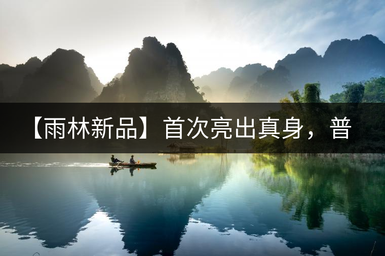 【雨林新品】首次亮出真身，普洱茶史上第一件新班章！