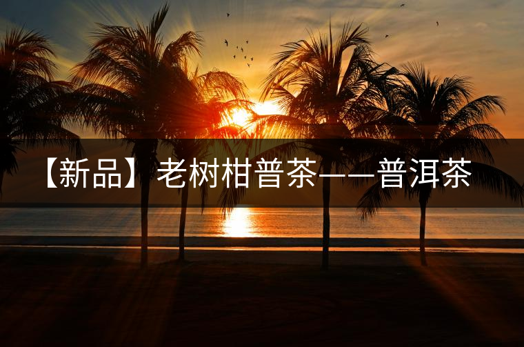 【新品】老樹柑普茶——普洱茶中的瑰寶