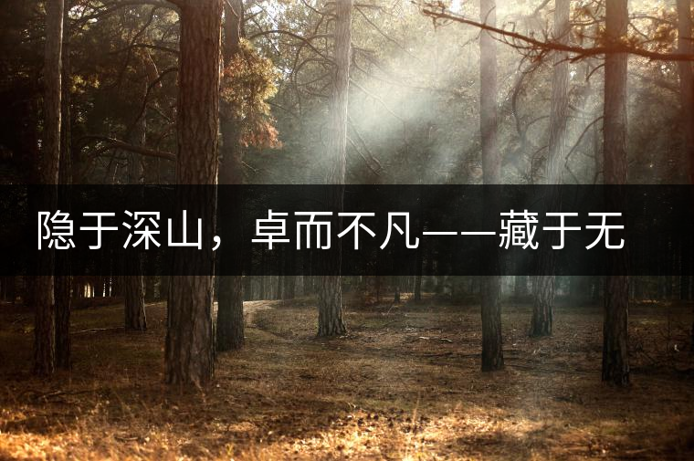 隱于深山，卓而不凡——藏于無(wú)量余脈的困鹿貢香
