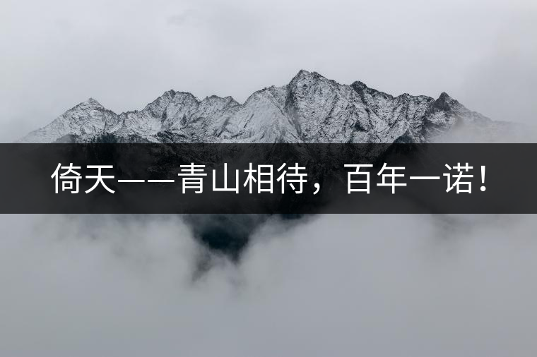 倚天——青山相待，百年一諾！