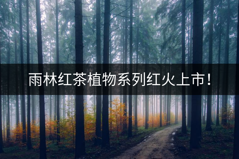 雨林紅茶植物系列紅火上市！