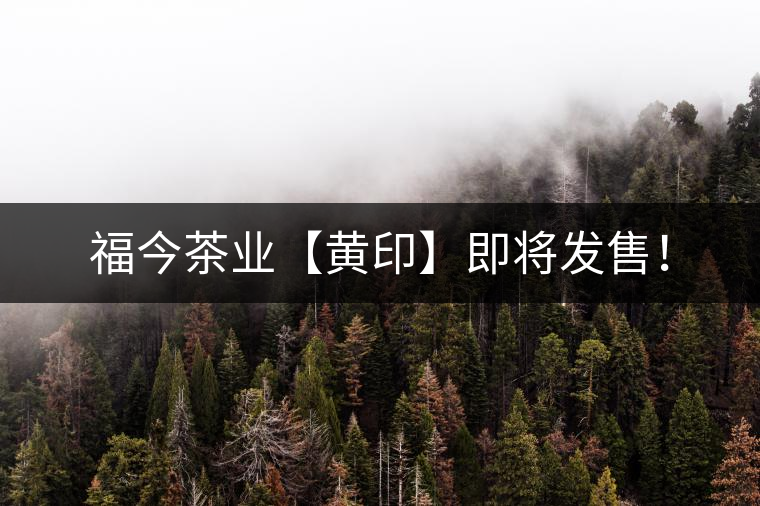 福今茶業(yè)【黃印】即將發(fā)售！