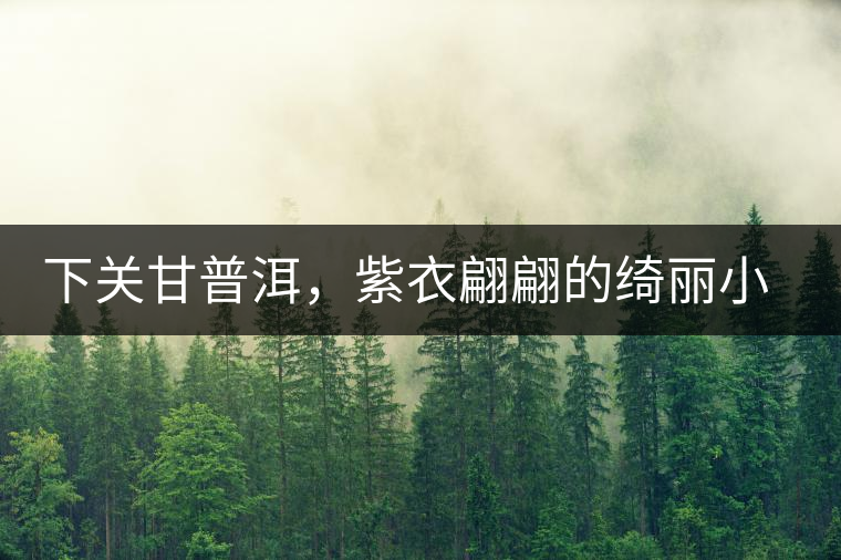 下關(guān)甘普洱，紫衣翩翩的綺麗小餅