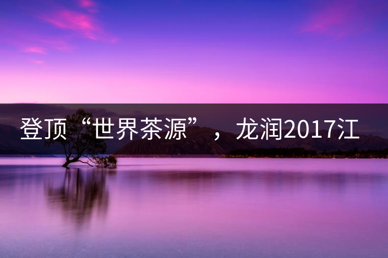 登頂“世界茶源”，龍潤2017江城茶上市啦！