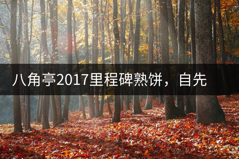 八角亭2017里程碑熟餅，自先發(fā)酵而后愛(ài)人