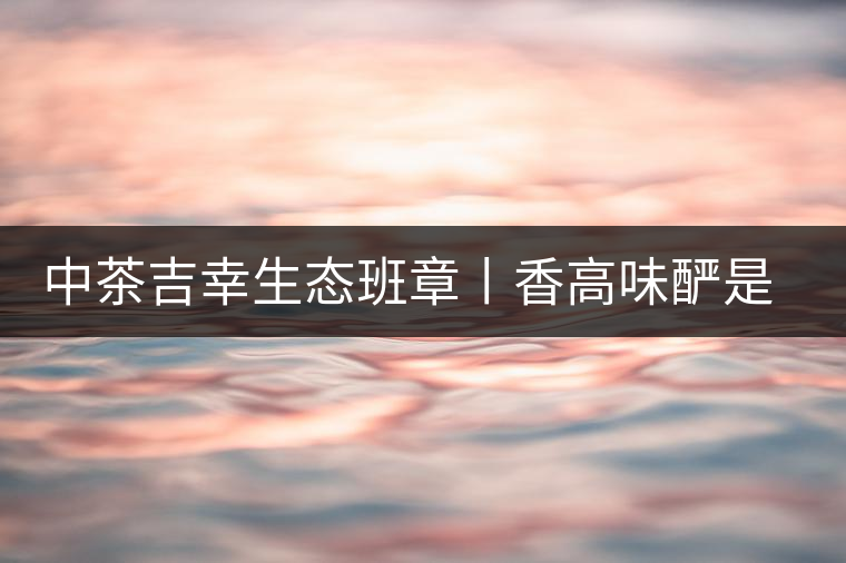 中茶吉幸生態(tài)班章丨香高味釅是王者，且品且珍惜