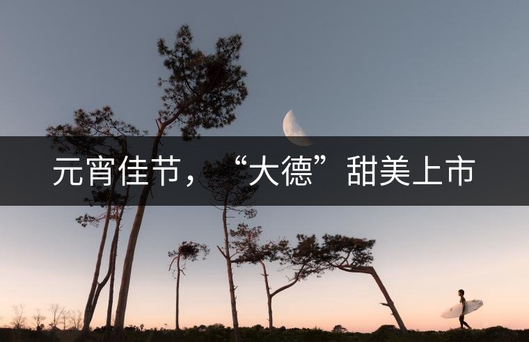 元宵佳節(jié)，“大德”甜美上市