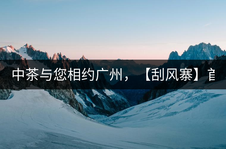 中茶與您相約廣州，【刮風寨】首次亮相！