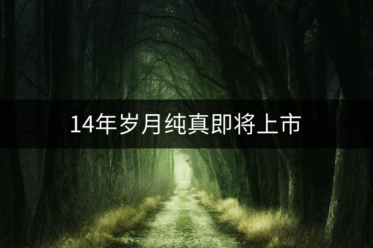 14年歲月純真即將上市