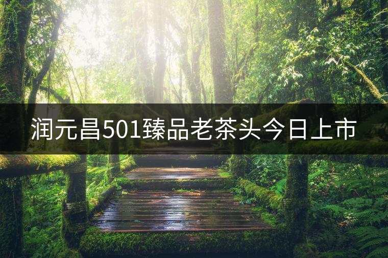 潤元昌501臻品老茶頭今日上市 潤元昌501臻品老茶頭今日上市