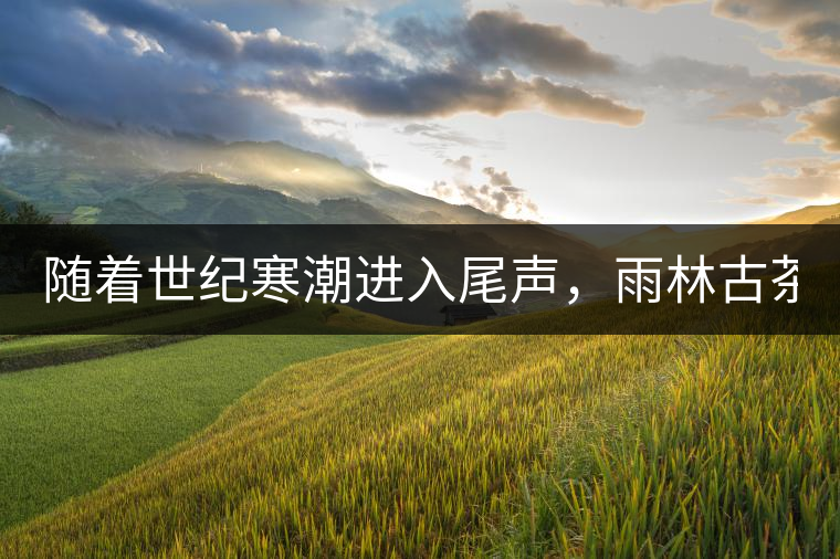隨著世紀(jì)寒潮進(jìn)入尾聲，雨林古茶坊