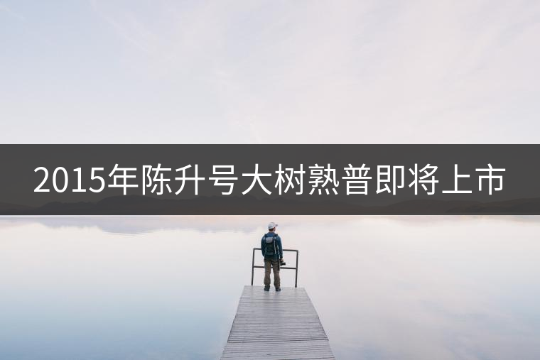 2015年陳升號(hào)大樹熟普即將上市