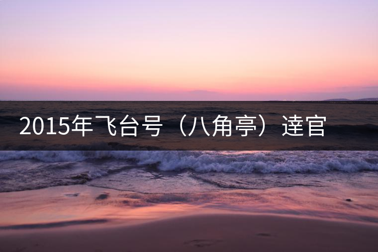 2015年飛臺號（八角亭）逹官普洱茶生茶上市