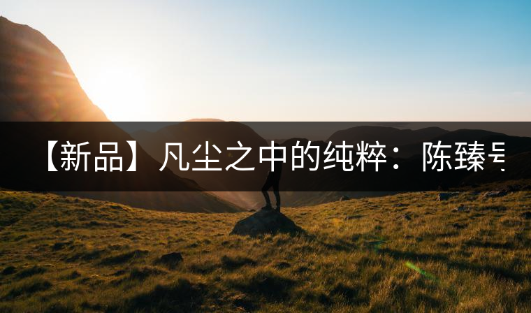 【新品】凡塵之中的純粹：陳臻號2016年精品青餅即將上市！