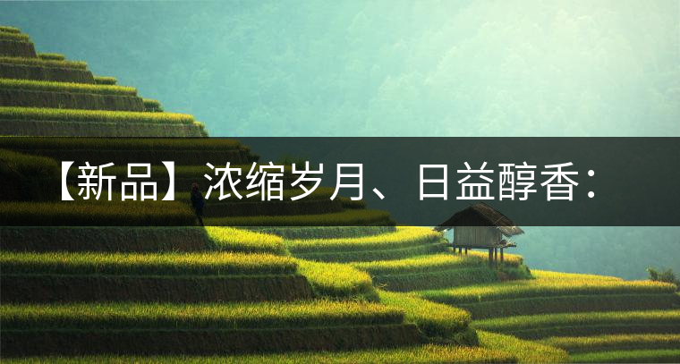 【新品】濃縮歲月、日益醇香：陳臻號陳品熟餅即將上市！