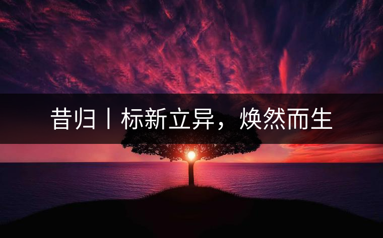 昔歸丨標新立異，煥然而生