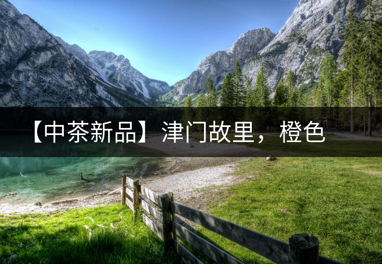 【中茶新品】津門故里，橙色風(fēng)暴