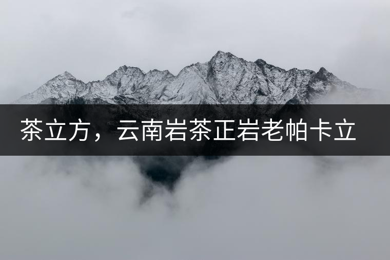 茶立方，云南巖茶正巖老帕卡立方磚今日芳香出爐