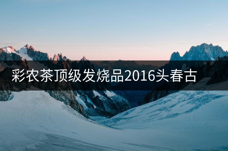 彩農(nóng)茶頂級發(fā)燒品2016頭春古樹純料青餅——云南巖茶·巖魂