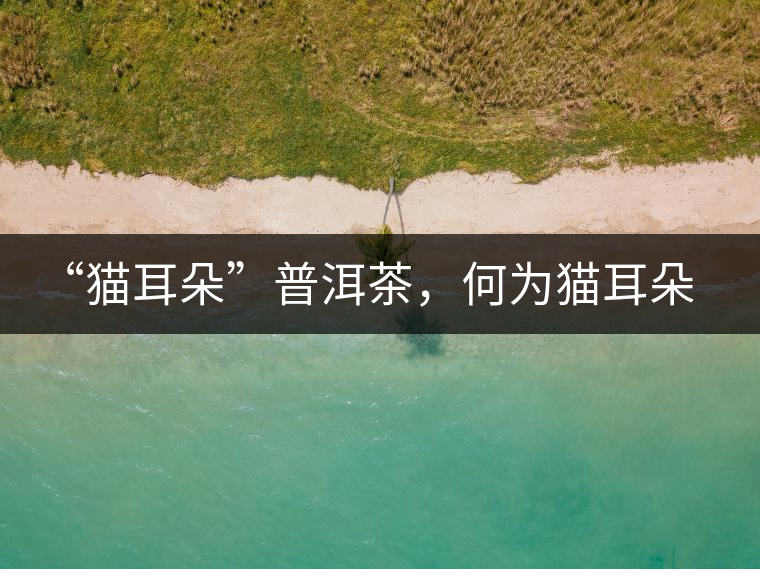 “貓耳朵”普洱茶，何為貓耳朵？