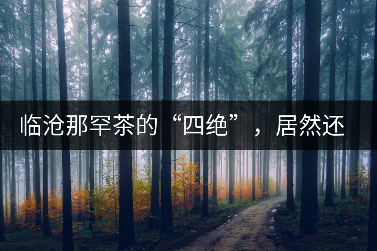 臨滄那罕茶的“四絕”，居然還沒(méi)說(shuō)到它的品質(zhì)