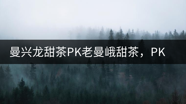 曼興龍?zhí)鸩鑀K老曼峨甜茶，PK出勐海茶區(qū)第三匹黑馬！