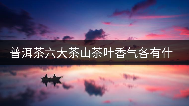 普洱茶六大茶山茶葉香氣各有什么特點(diǎn)？