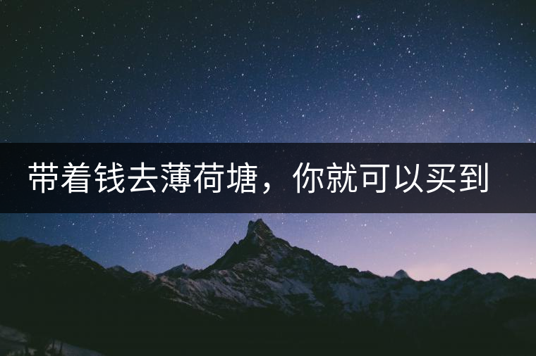 帶著錢(qián)去薄荷塘，你就可以買(mǎi)到古樹(shù)茶么？