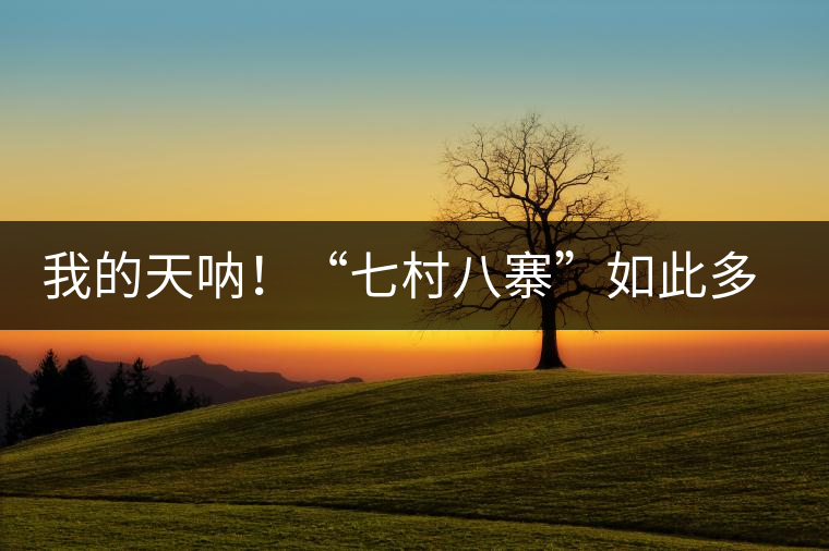 我的天吶！“七村八寨”如此多的易武茶，品質(zhì)特色如何分辨？