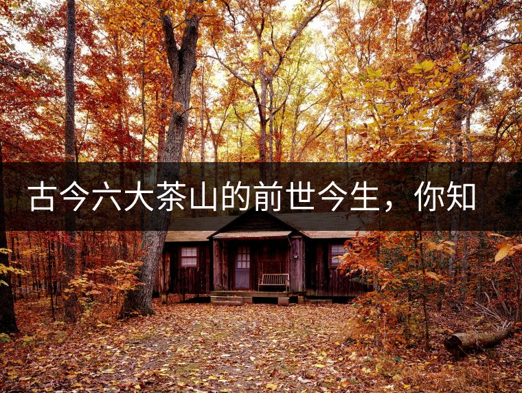 古今六大茶山的前世今生，你知多少？